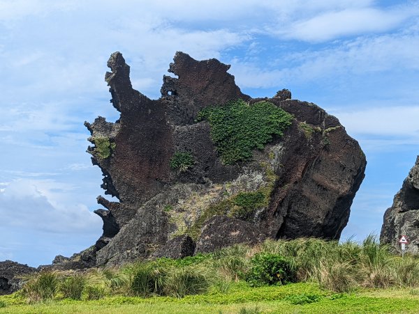 《蘭嶼》青青草原。情人洞。海岸奇岩。山羊/散步的豬。拼板舟。開元港1736851