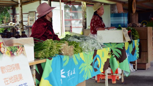 淡蘭古道中路（闊瀨崩山坑環線）989174