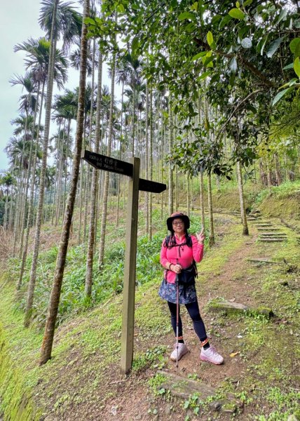 紫微聖母環山步道走六寮崙山與西南峰2989122