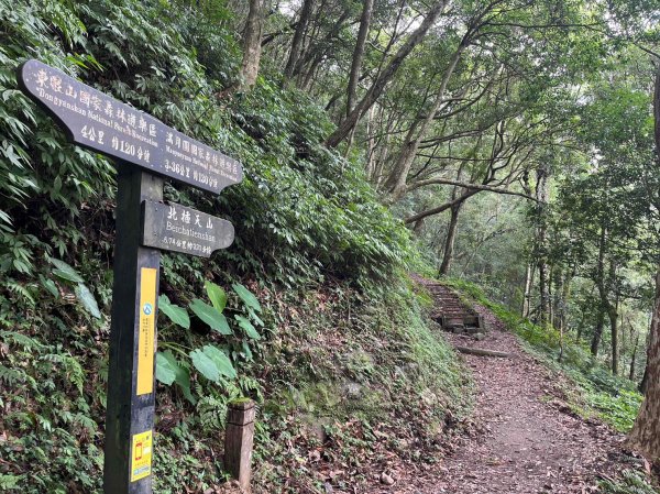 桃園 復興/新北 三峽 東滿步道2314914