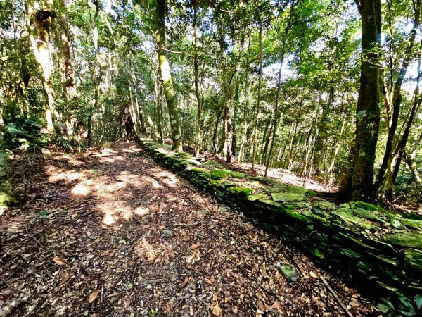 鳴海山-小百岳#71-高雄市茂林區2930867