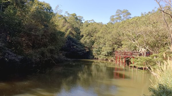 大崙頭尾山下大湖公園2114355