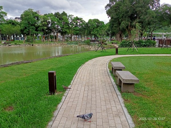 大湖公園、大湖山莊街 2-1【走路趣尋寶】2261299