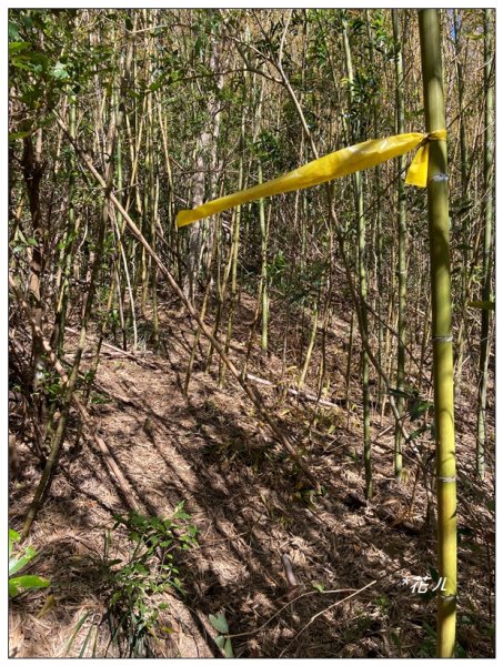 那羅山、煤源山、凌空廊道連走2684215