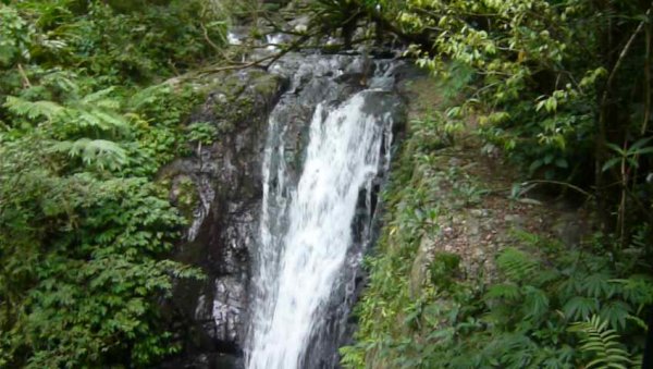 礁溪林美石盤步道643407