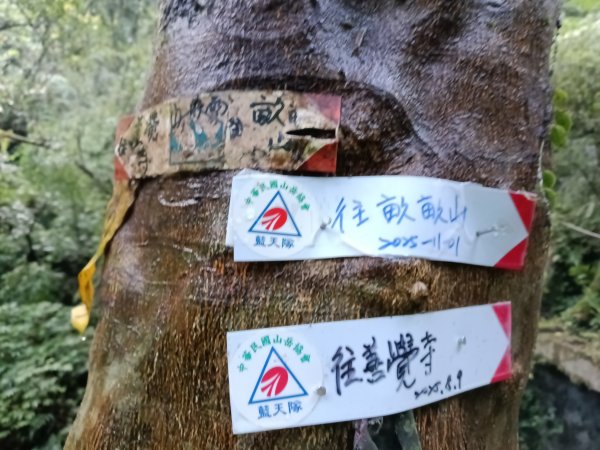 平溪區善覺寺步道+畝畝山北稜線+畝畝山+石硿子瀑布+灰窯瀑布O型2940008