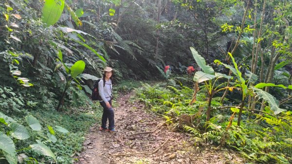 雙石大O繞縱走1150222 年初六3004539