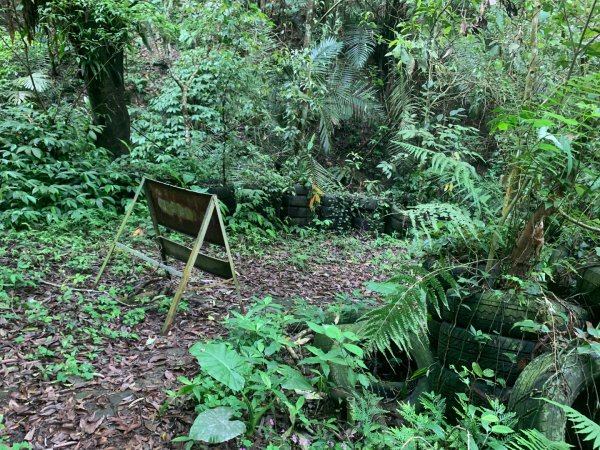 大崎棟古道、騎龍古道2772352