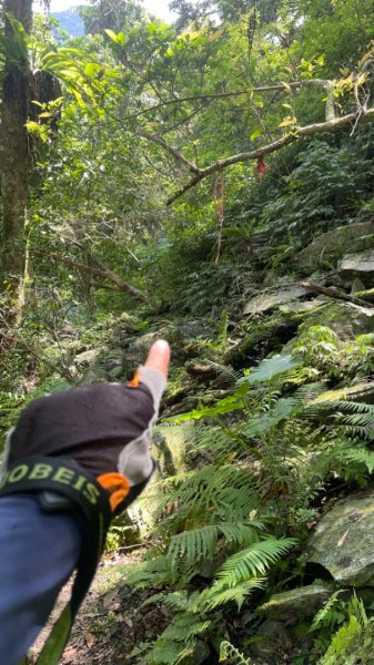 烏來阿玉溪山/西坑林道/探勘派出護管所彈藥庫遺址至獅坑橋2582010