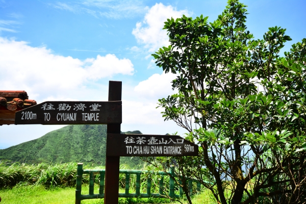 【步道小旅行】無耳茶壼山3327