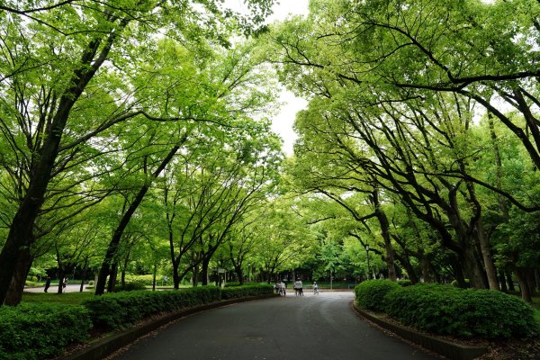 日本 大阪2784877