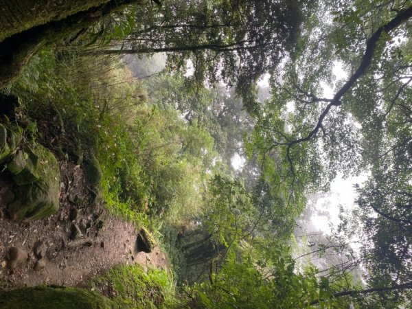 奮起湖-大凍山步道封面