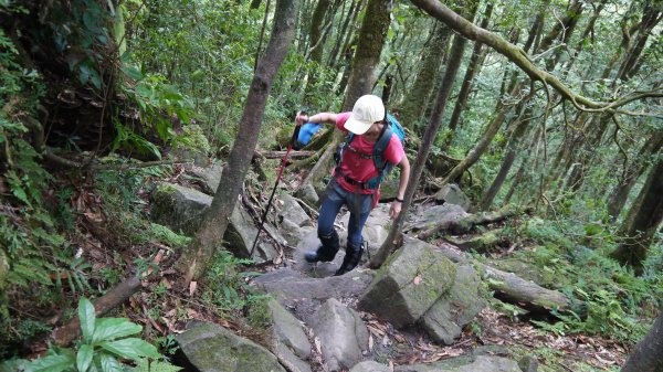 松蘿湖單攻登山健行趣（步道）1522248