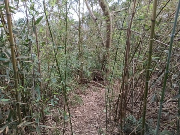 寶山鄉寶山水庫(寶山東峰+中峰+中西峰+西峰+西北峰)+尖山O型3012575