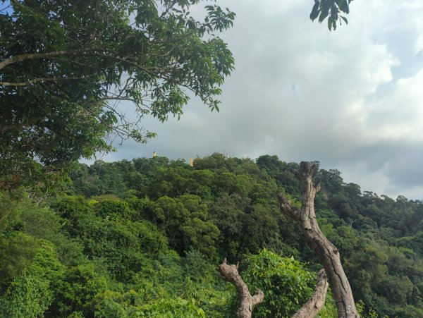 2025.10.05－南觀音山步道2908102