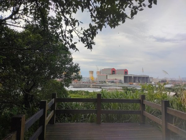 1130610太平濱海步道3099874