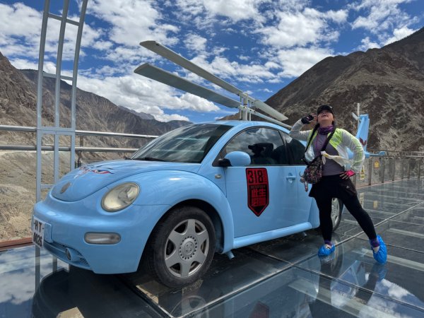 川藏318熱門的卡點-尼瑪-當惹擁措-大地之樹-雅丹地貌聖象天門2905206