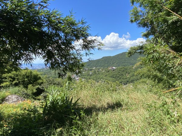 《探訪內雙溪三圳流向｜大崎頭步道 × 鵝尾山》2877202