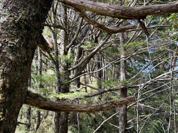 觀雲山莊經小完美谷上畢祿山O繞2917198