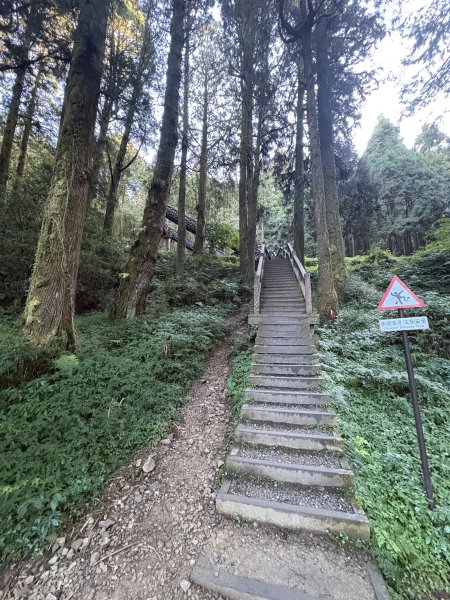 20251225塔山步道(大塔山)2970271