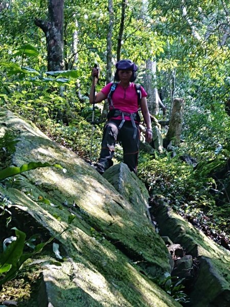 那結山（嘎色鬧部落線）893433