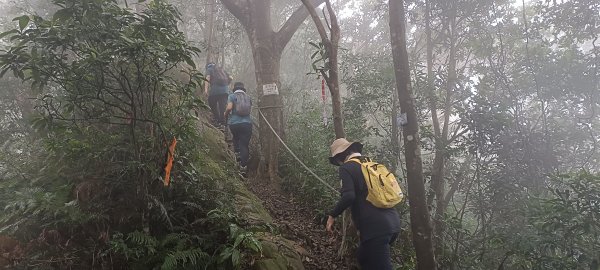 20241116_石牛山步道2649529