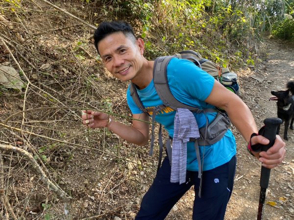 六龜美輪山【享受簡單純粹的登山樂趣】2415567