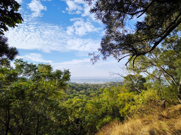 2025-12-14 大肚萬里長城步道、環保公園步道、旗開得勝步道2968967