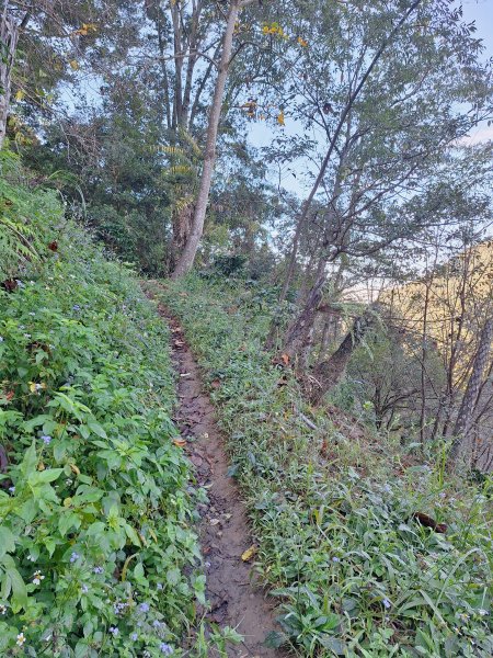 谷關蝴蝶谷瀑布202511202940780