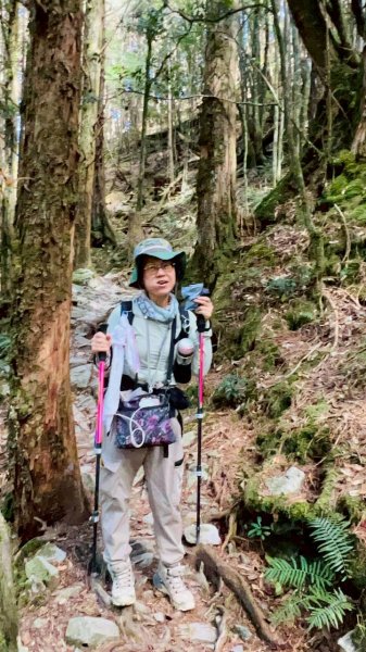 🌈11/15（六）松鶴上八仙山下森林遊樂區✨FB：熊熊趴爬走🌈2937658