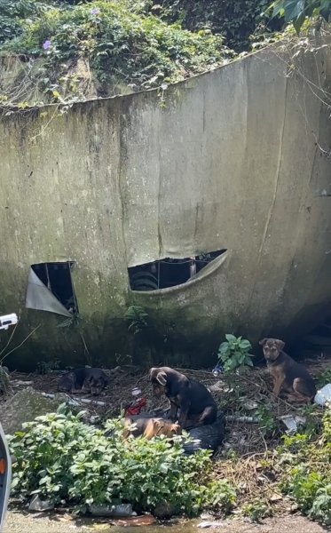 2025/3/16南觀音山2749049