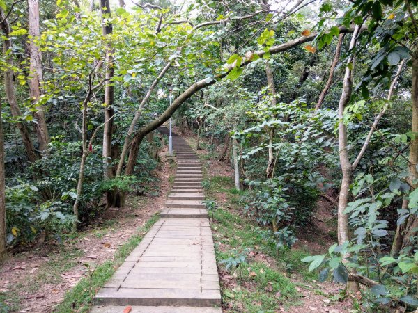 再訪十八尖山(小百岳#26)都會公園踏青943290