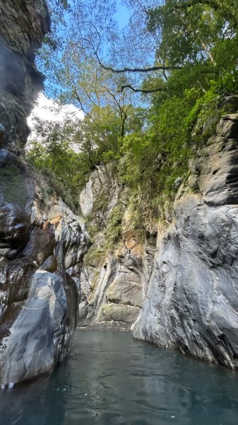 海端栗松溫泉2970898