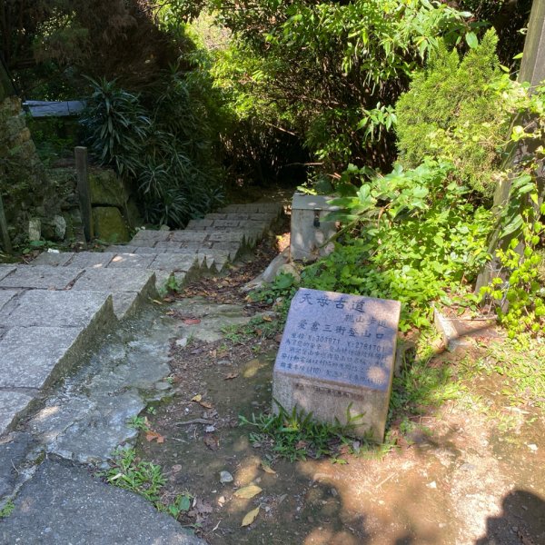 2024/09/16 天母古道（水管路） 紗帽山2884401