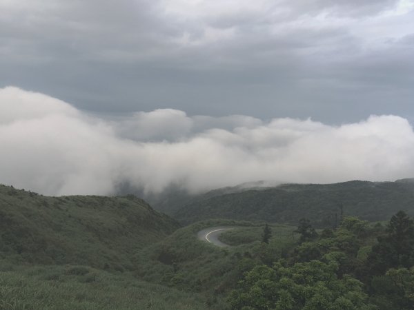 20200411-五分山步道914468