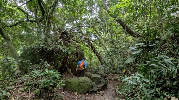 114.06.14雙石縱走&石門水庫-石牛山之旅2812246