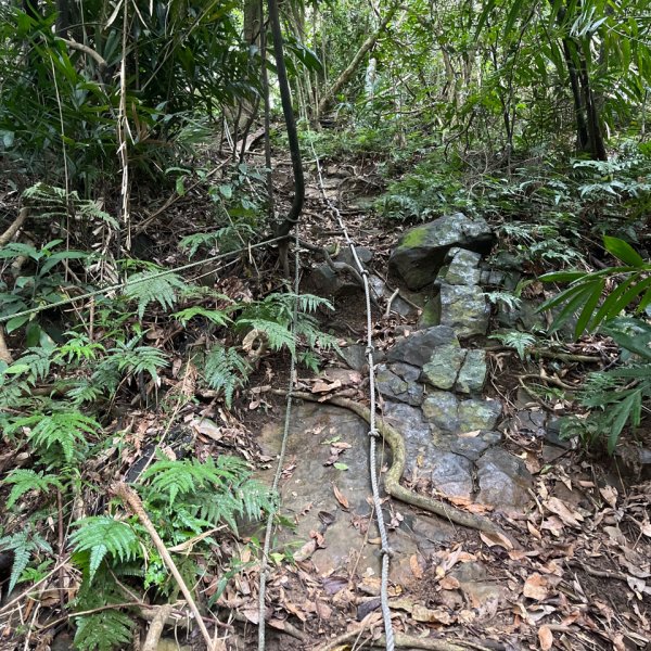 20250926_暗影山（台中小百岳）2941248