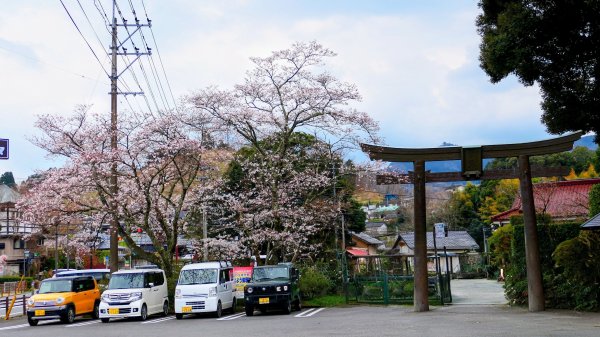 宮崎高千穗峽,愛情十字海3027812