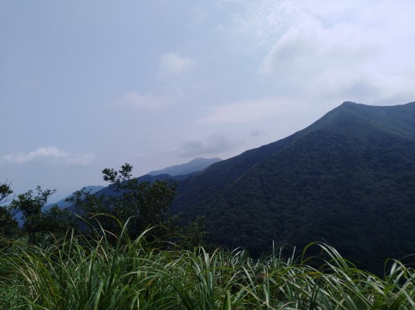 大屯山系｜漫步枕頭山。二子坪漫漫而行665920