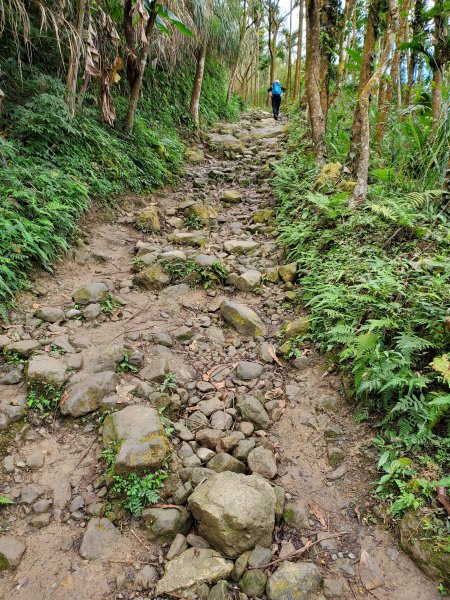 【台南 | 雞籠山走大凍山】786073