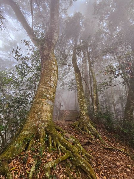 小百岳集起來-石壁山2184963