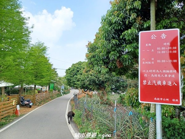 【彰化員林】員林百果山上最具人氣的休閒步道。 台灣百大必訪步道。 藤山步道1689458