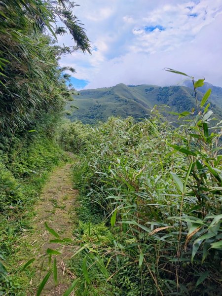 環七星山人車分道步道-百拉卡公路入口至冷水坑段 - 走遍陽明山尋寶任務2255051