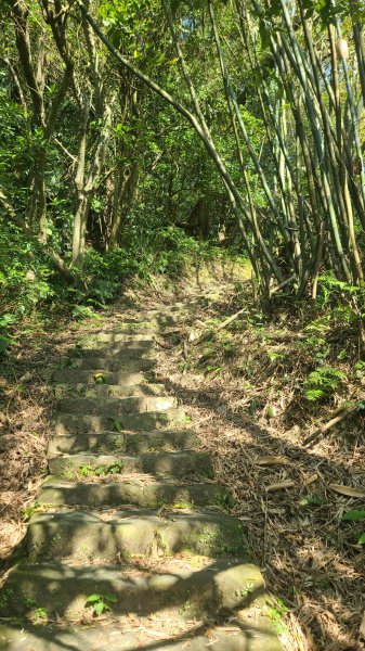 2025-0130溪和宮-大崎頭步道-鵝尾山-平溪步道-鵝尾山水田-42巷-溪山百年古圳-平菁步道2701844