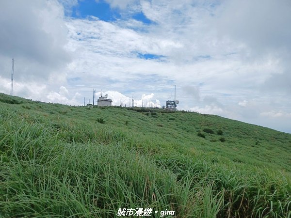 【台北北投】搭捷運公車爬山趣。 小百岳集起來。編號1小百岳~大屯山主峰步道1762769