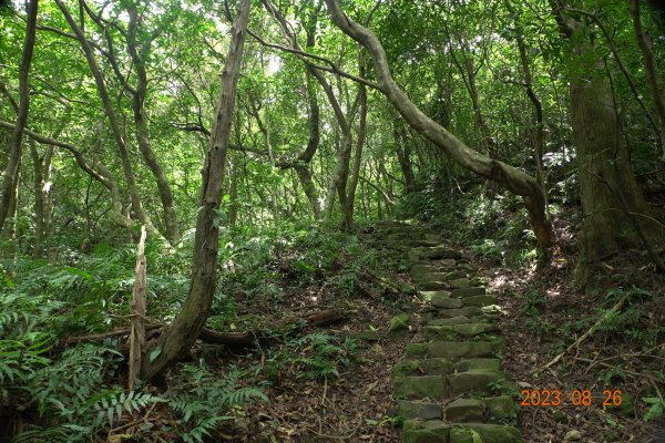 基隆 頂寮山、龍門山、五分山、頂子寮山2265986
