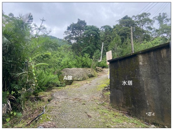 大克山 南稜線A上B下 (卓蘭最高峰)2825453