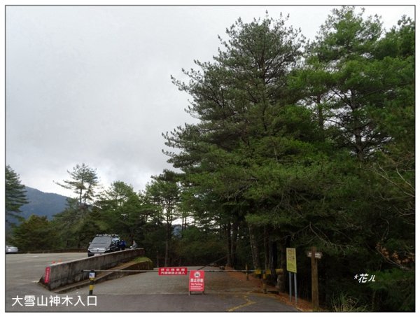 雪山神木步道1633603