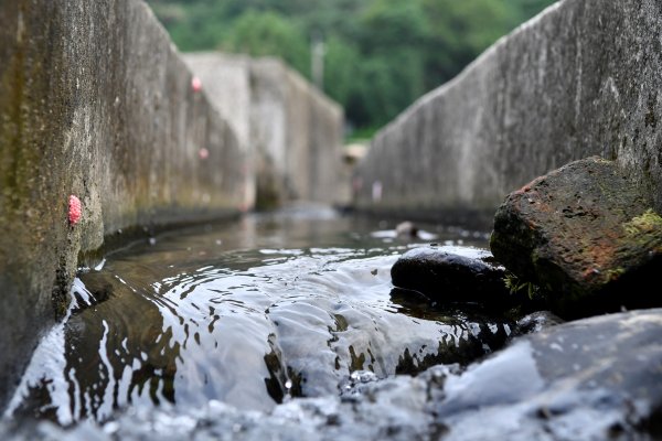 細路日常／渡南古道。牛欄河濱公園1380757