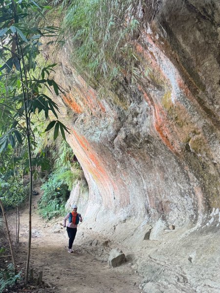 20250913_三峽鳶山爬山趣2882804